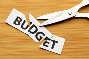 Budget cut-2